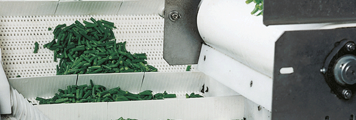 کانوایر در صنعت مواد غذایی